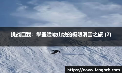 挑战自我：攀登险峻山坡的极限滑雪之旅 (2)